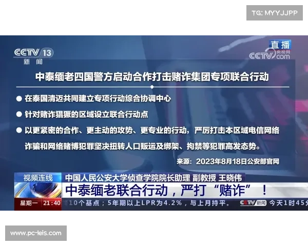 欧冠票务欺诈案告破，多国警方联合行动